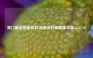 澳门最老版最资料,准确资料解释落实版58.58.716