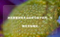 泽连斯基称美无法迫使乌坐下谈判，马斯克发帖嘲笑