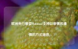 欧洲央行管委Makhlouf支持以审慎和谨慎的方式降息