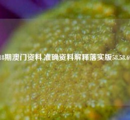 118期澳门资料,准确资料解释落实版58.58.697