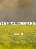 49706澳门资料大全,准确资料解释落实版58.58.724