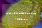 澳门资料库澳门资料彩图,准确资料解释落实版58.58.679