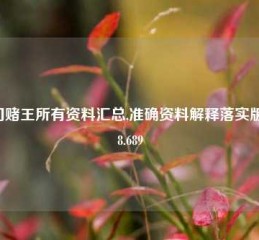 澳门赌王所有资料汇总,准确资料解释落实版58.58.689