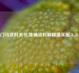 澳门马资料全书,准确资料解释落实版58.58.685