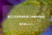 澳门三合资料网站澳门,准确资料解释落实版58.58.713