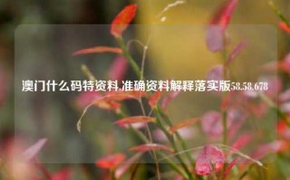 澳门什么码特资料,准确资料解释落实版58.58.678