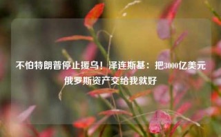 不怕特朗普停止援乌！泽连斯基：把3000亿美元俄罗斯资产交给我就好