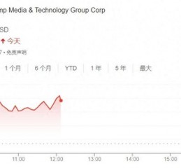 特朗普重申不会抛售股票 DJT股价闻讯飙升10%