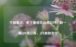 下周看点：多个重磅会议将召开，新一期LPR将公布，3只新股发行