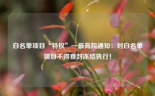 白名单项目“特权”—最高院通知：对白名单项目不得查封冻结执行！