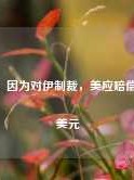 伊朗：因为对伊制裁，美应赔偿1万亿美元