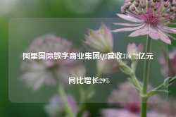 阿里国际数字商业集团Q2营收316.72亿元 同比增长29%-第1张图片-贸易