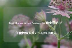 West Pharmaceutical Services, Inc.盘中异动 下午盘股价大跌5.17%报320.64美元-第1张图片-贸易