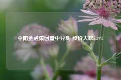 中阳金融集团盘中异动 股价大跌5.39%-第1张图片-贸易