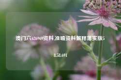 澳门六626969资料,准确资料解释落实版58.58.691-第1张图片-贸易