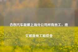 合创汽车裁撤上海分公司所有员工，拖欠被裁员工赔偿金-第1张图片-贸易