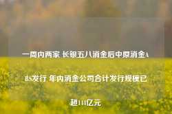 一周内两家 长银五八消金后中原消金ABS发行 年内消金公司合计发行规模已超144亿元-第1张图片-贸易