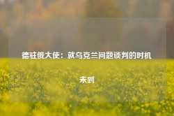 德驻俄大使：就乌克兰问题谈判的时机未到-第1张图片-贸易