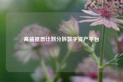 高盛据悉计划分拆数字资产平台-第1张图片-贸易