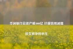 华润银行总资产破4000亿 计提信用减值损失致净利承压-第1张图片-贸易