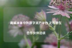 高盛准备分拆数字资产平台 正与潜在合作伙伴洽谈-第1张图片-贸易