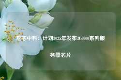 龙芯中科：计划2025年发布3C6000系列服务器芯片-第1张图片-贸易