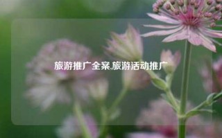 旅游推广全案,旅游活动推广