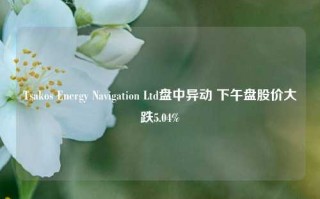 Tsakos Energy Navigation Ltd盘中异动 下午盘股价大跌5.04%