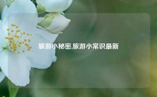 旅游小秘密,旅游小常识最新