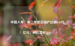 中国人寿：第三季度总资产达到6.48万亿元，同比增长14.6%