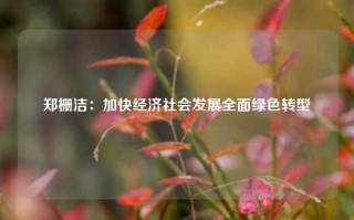 郑栅洁：加快经济社会发展全面绿色转型