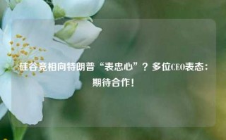 硅谷竞相向特朗普“表忠心”？多位CEO表态：期待合作！