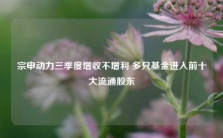 宗申动力三季度增收不增利 多只基金进入前十大流通股东