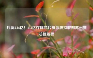 斥资3.16亿！613亿存储芯片概念股拟收购苏州赛芯控股权