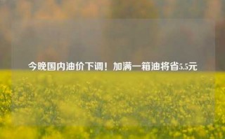 今晚国内油价下调！加满一箱油将省5.5元