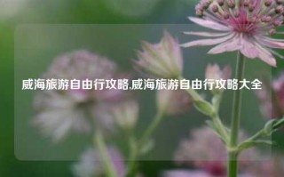 威海旅游自由行攻略,威海旅游自由行攻略大全