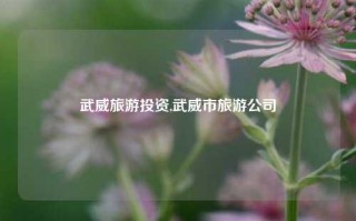 武威旅游投资,武威市旅游公司