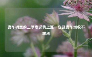 客车销量前三季度逆势上涨，安凯客车增收不增利