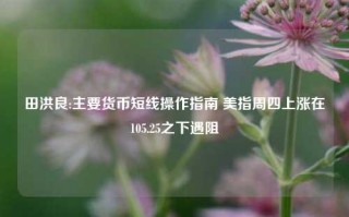 田洪良:主要货币短线操作指南 美指周四上涨在105.25之下遇阻