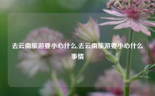 去云南旅游要小心什么,去云南旅游要小心什么事情