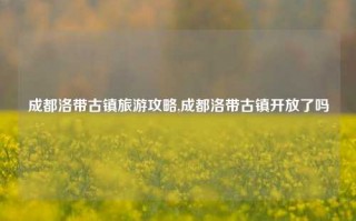 成都洛带古镇旅游攻略,成都洛带古镇开放了吗