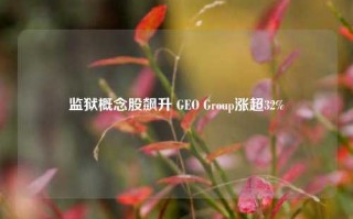 监狱概念股飙升 GEO Group涨超32%