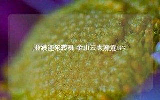 业绩迎来转机 金山云大涨近14%