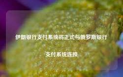 伊朗银行支付系统将正式与俄罗斯银行支付系统连接