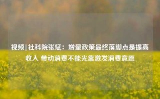 视频|社科院张斌：增量政策最终落脚点是提高收入 带动消费不能光靠激发消费意愿