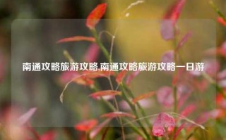 南通攻略旅游攻略,南通攻略旅游攻略一日游