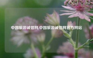 中国旅游诚信网,中国旅游诚信网官方网站