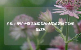 机构：无论谁赢得美国总统选举都可能采取通胀政策