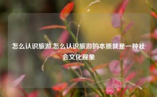 怎么认识旅游,怎么认识旅游的本质就是一种社会文化现象