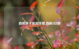 酉阳亲子旅游攻略,酉阳3日游